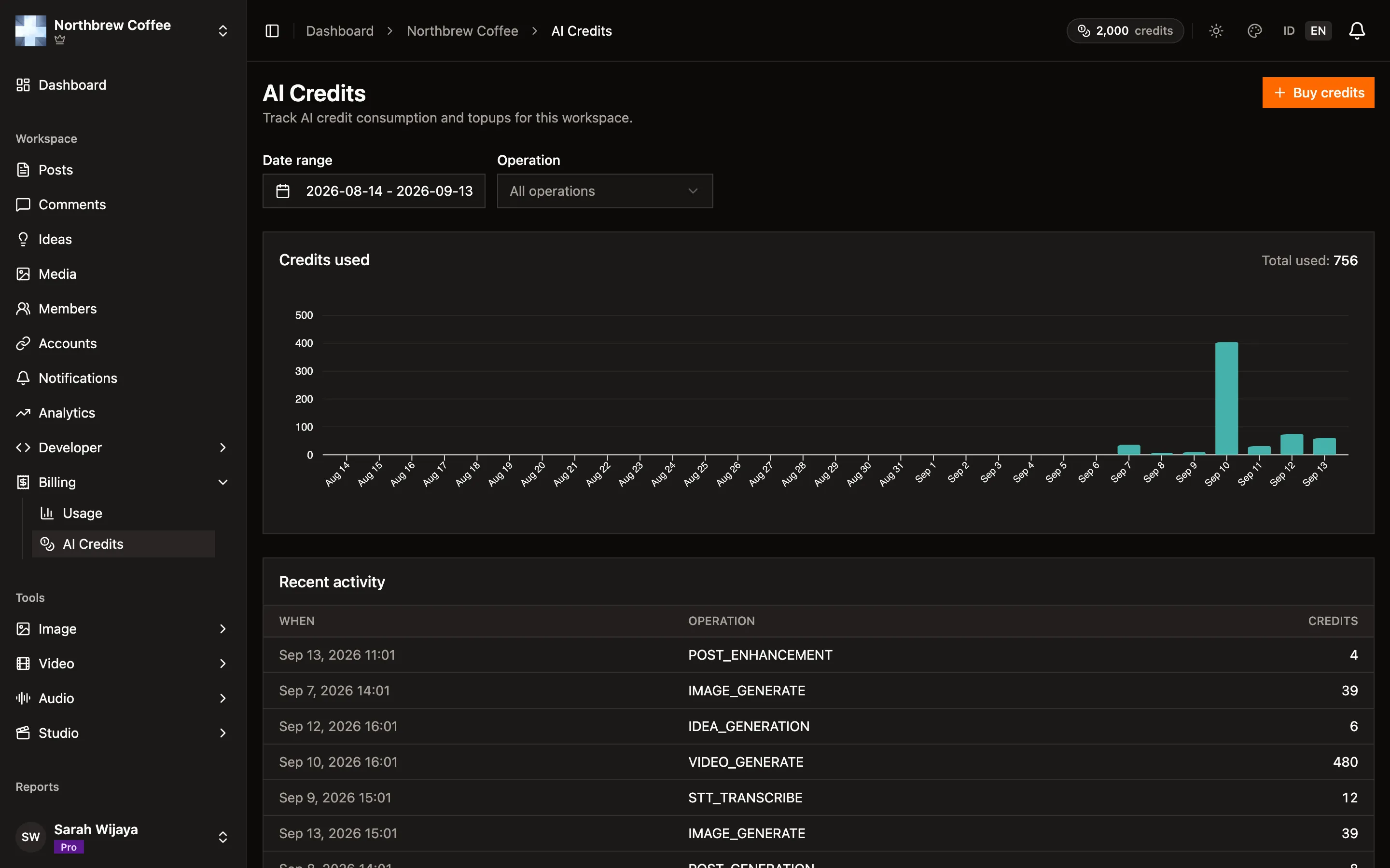 The AI credits page showing available balance, reserved credits, and workspace allocations.