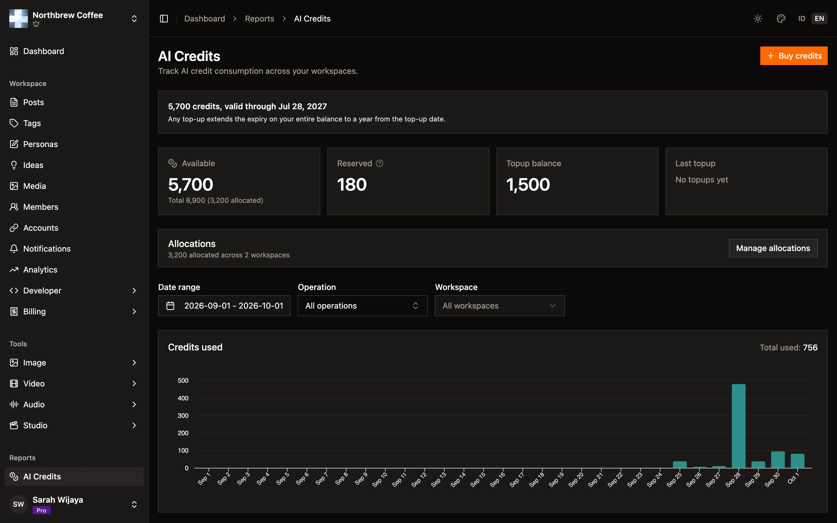 The AI credits report with date, operation and workspace filters above a credits used chart and the recent activity table.
