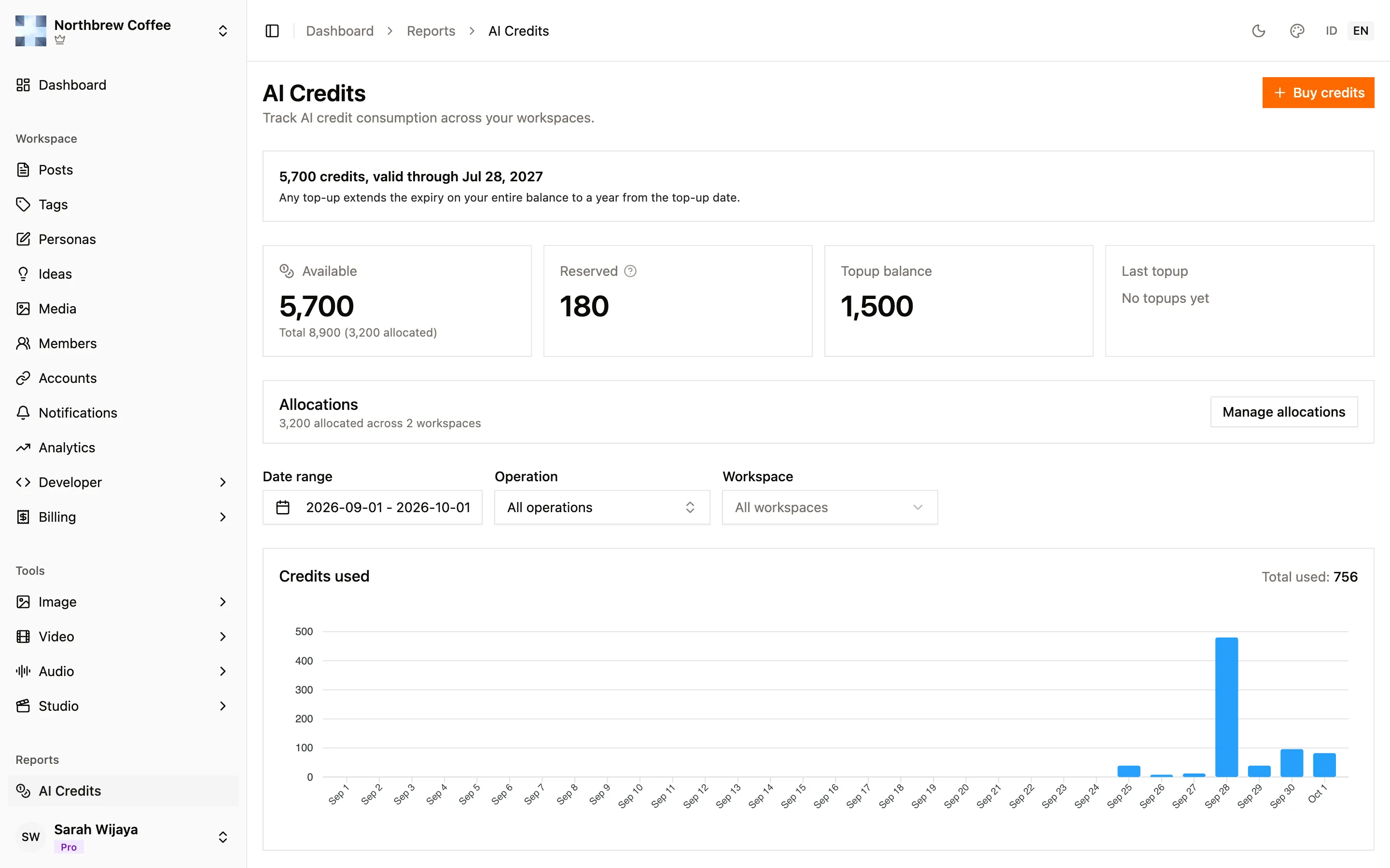 The AI credits report with date, operation and workspace filters above a credits used chart and the recent activity table.