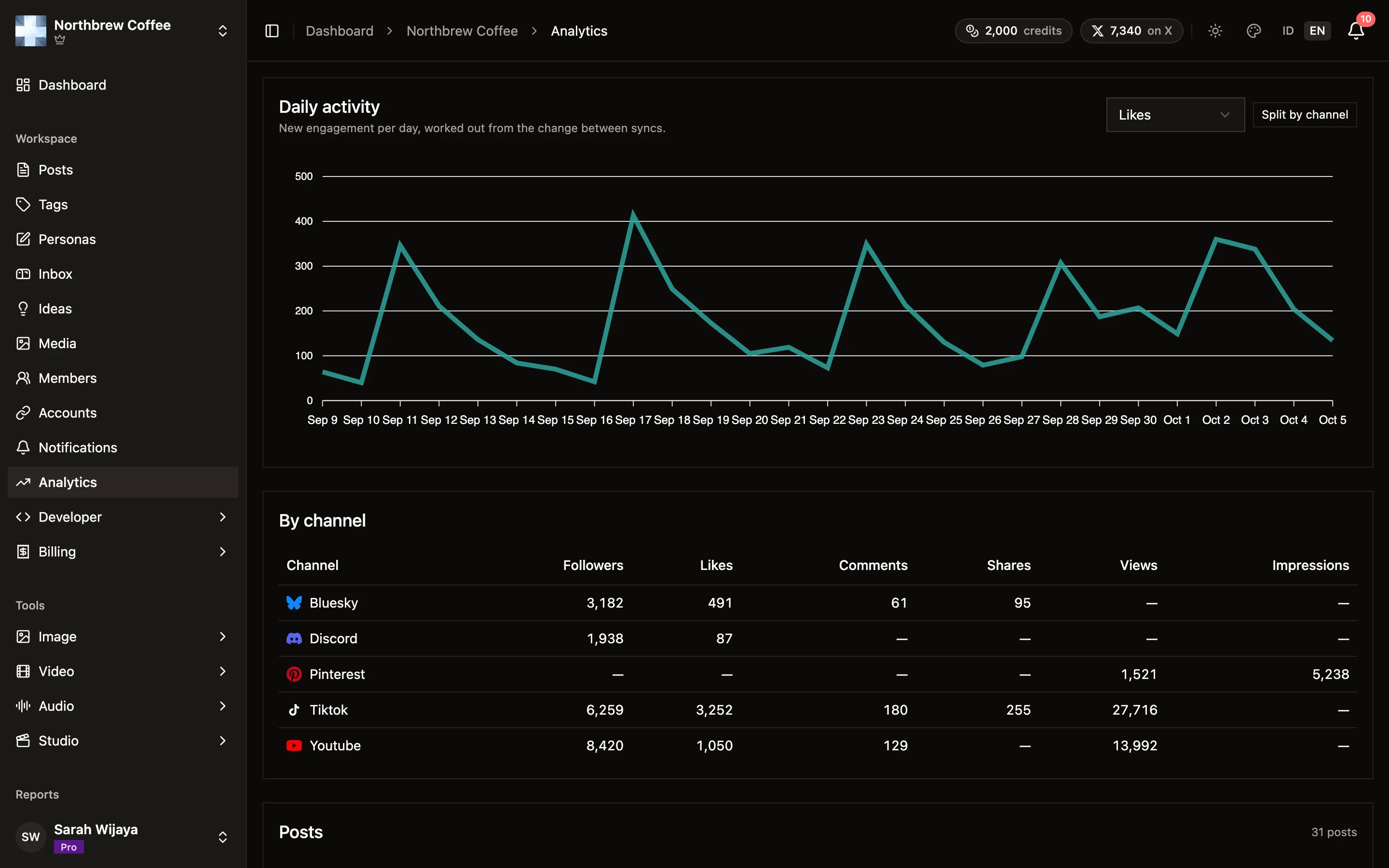 The Daily activity chart of new likes per day, and the By channel table below it.