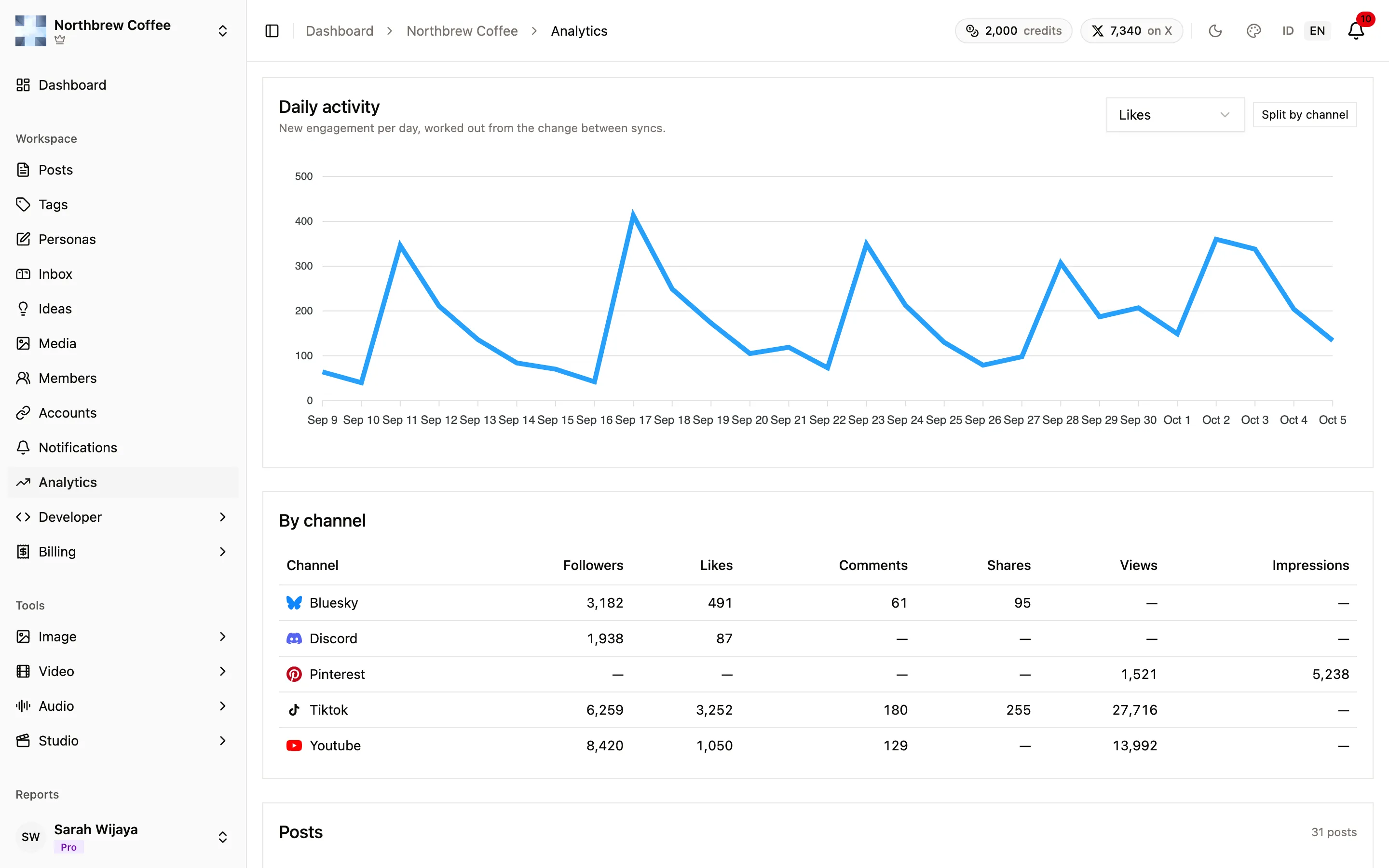 The Daily activity chart of new likes per day, and the By channel table below it.