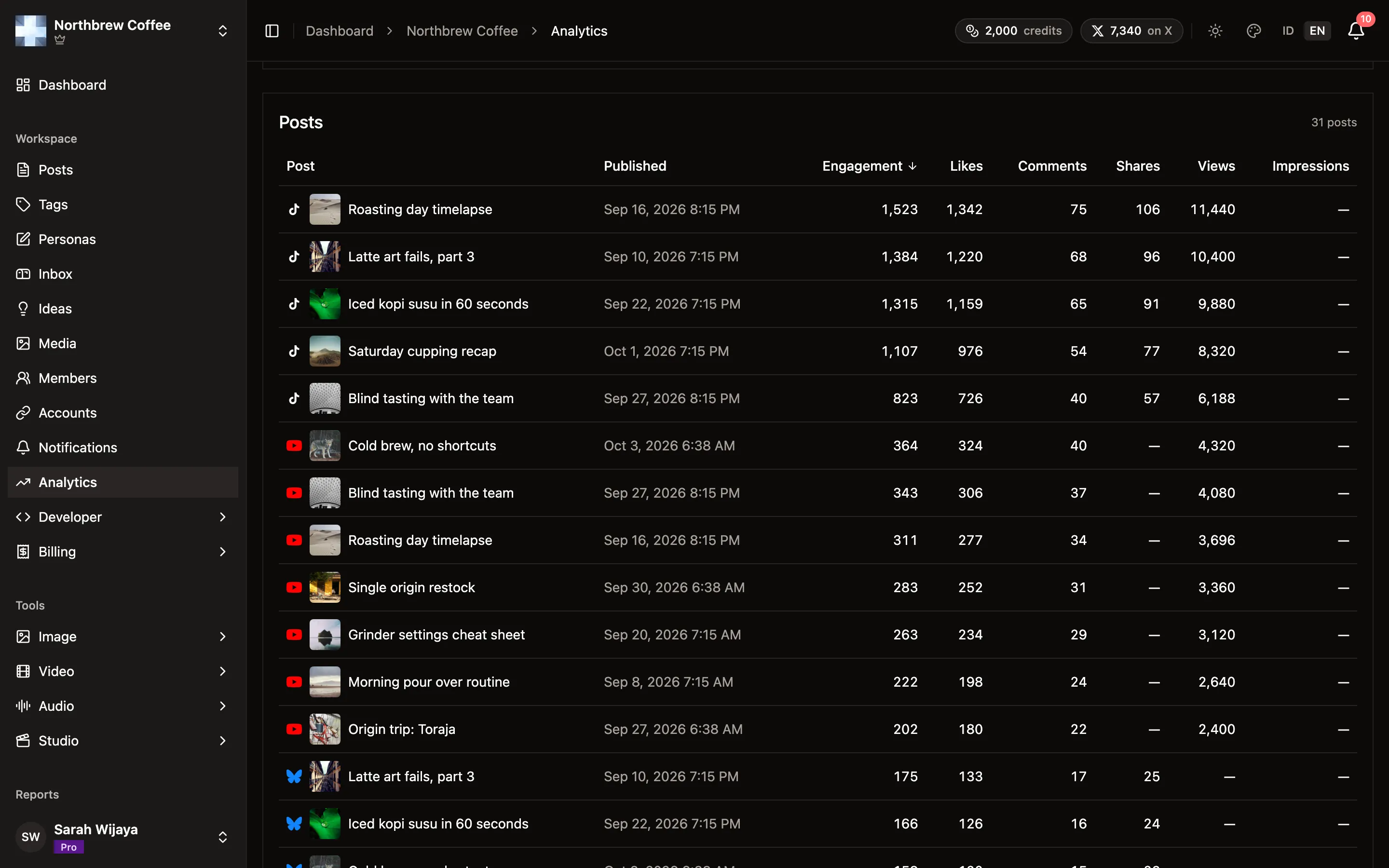 The Posts table, sorted by engagement, with likes, comments, shares and views per post and channel.