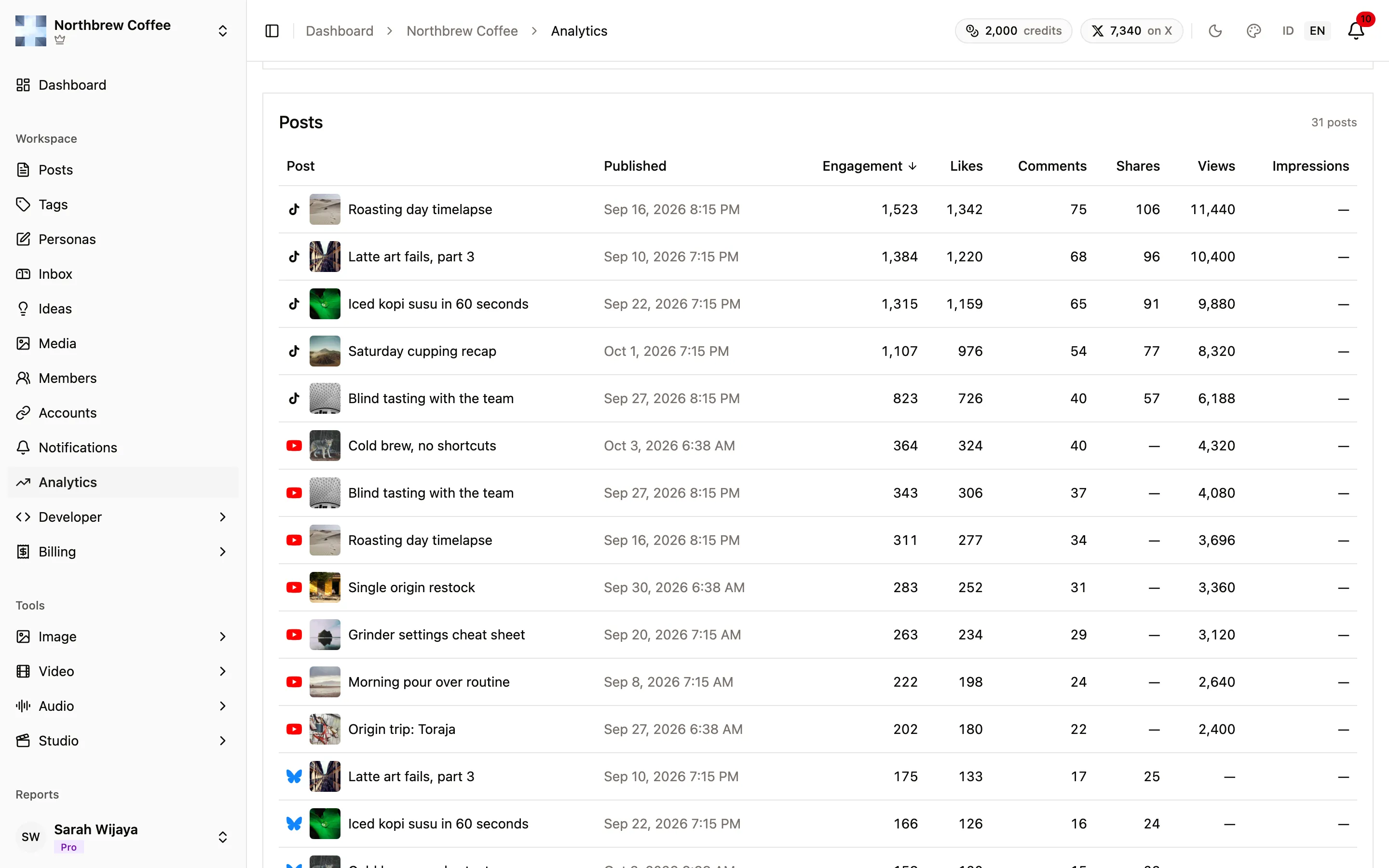 The Posts table, sorted by engagement, with likes, comments, shares and views per post and channel.
