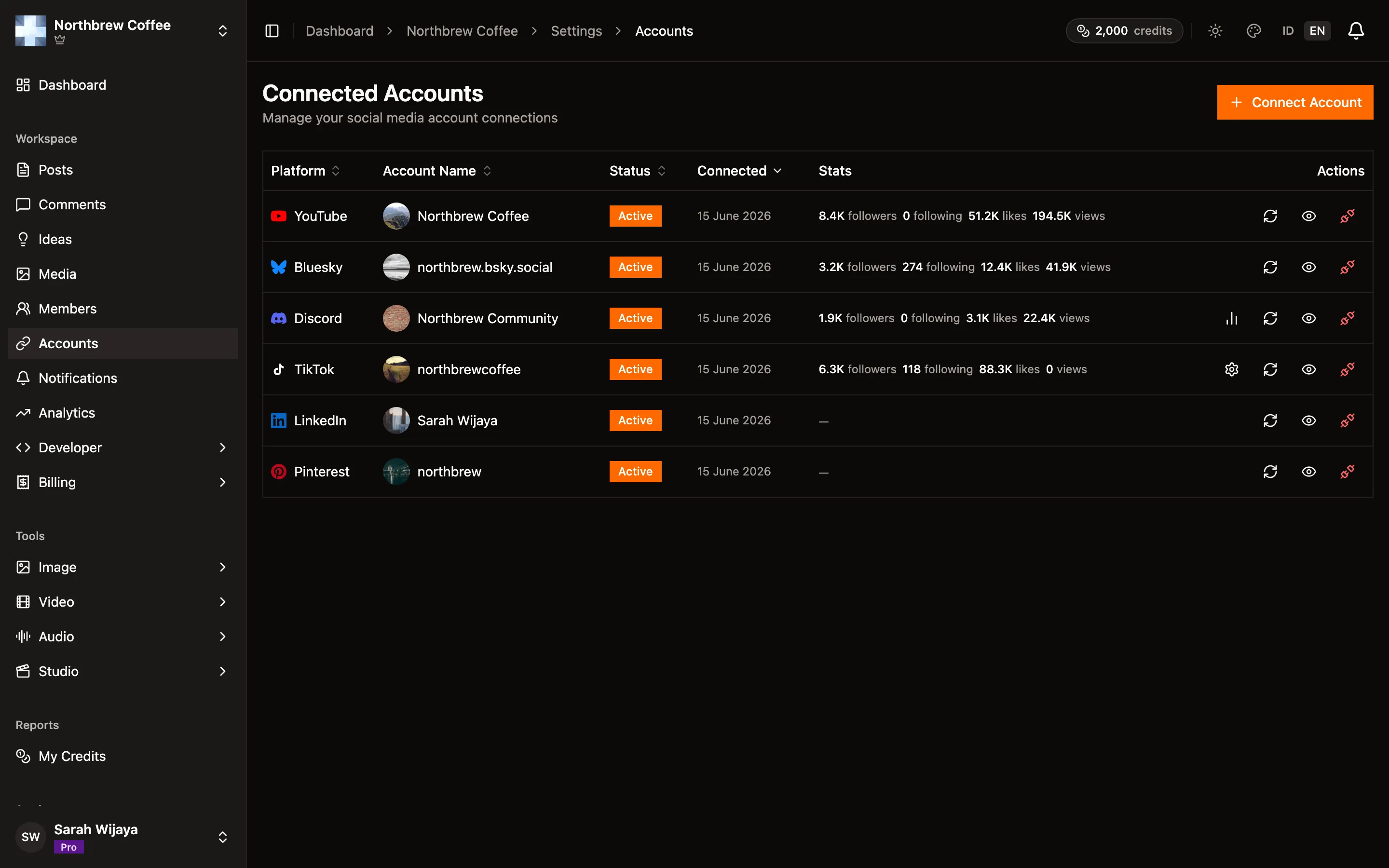 The Connected Accounts page listing the linked YouTube, Bluesky, and Discord accounts.
