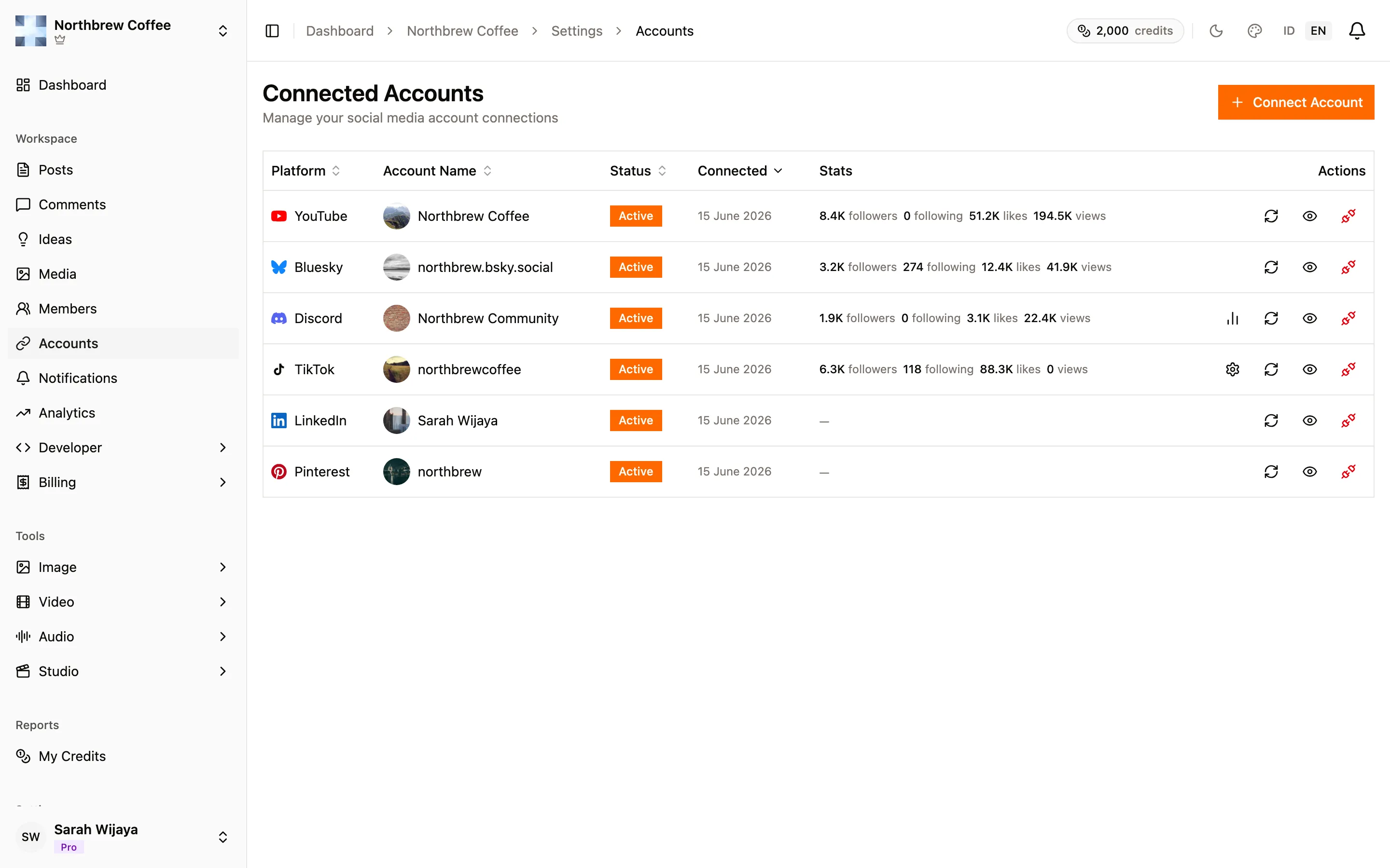 The Connected Accounts page listing the linked YouTube, Bluesky, and Discord accounts.