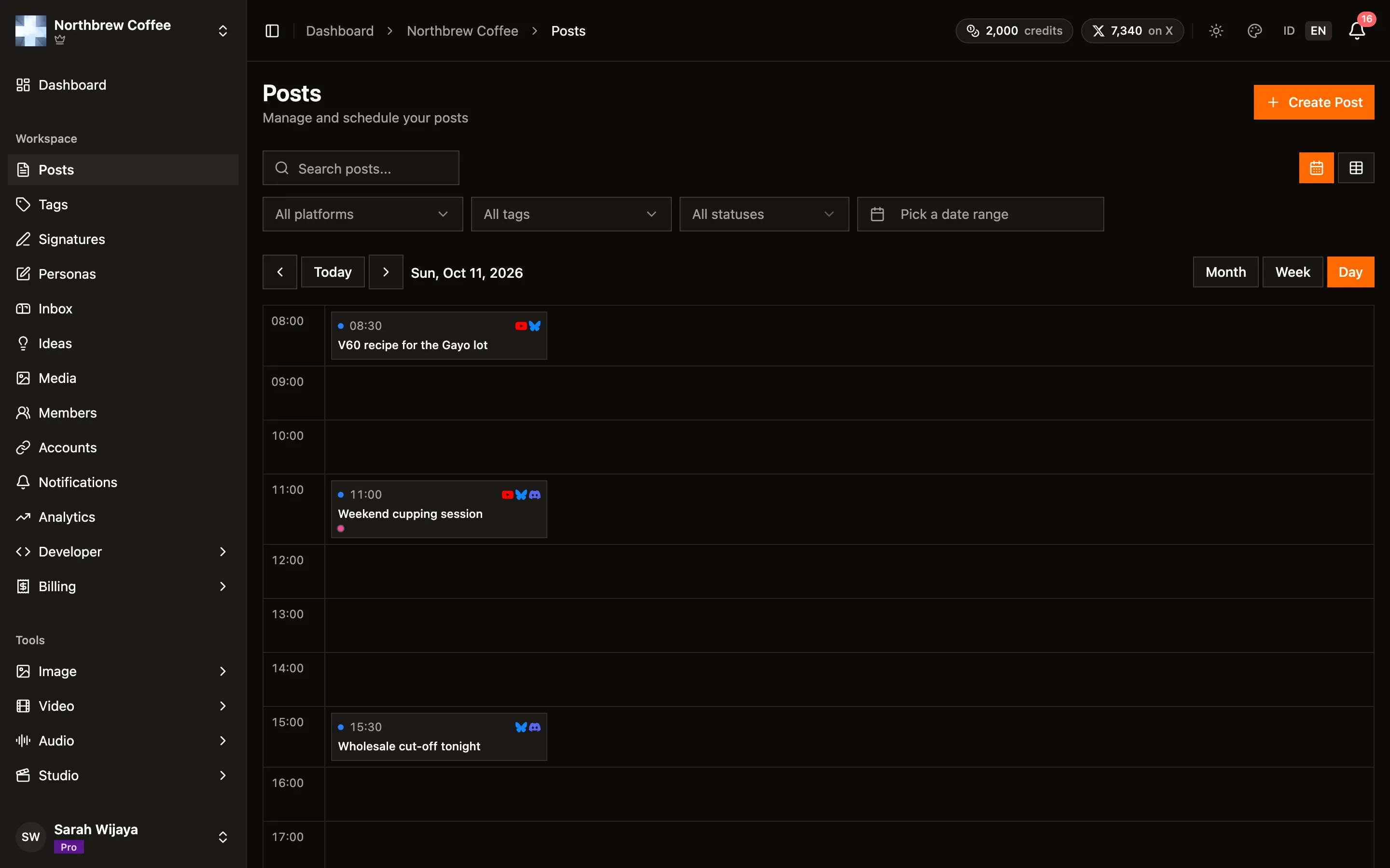 The Posts calendar in Day view, one row per hour with the day's scheduled posts in their hours.