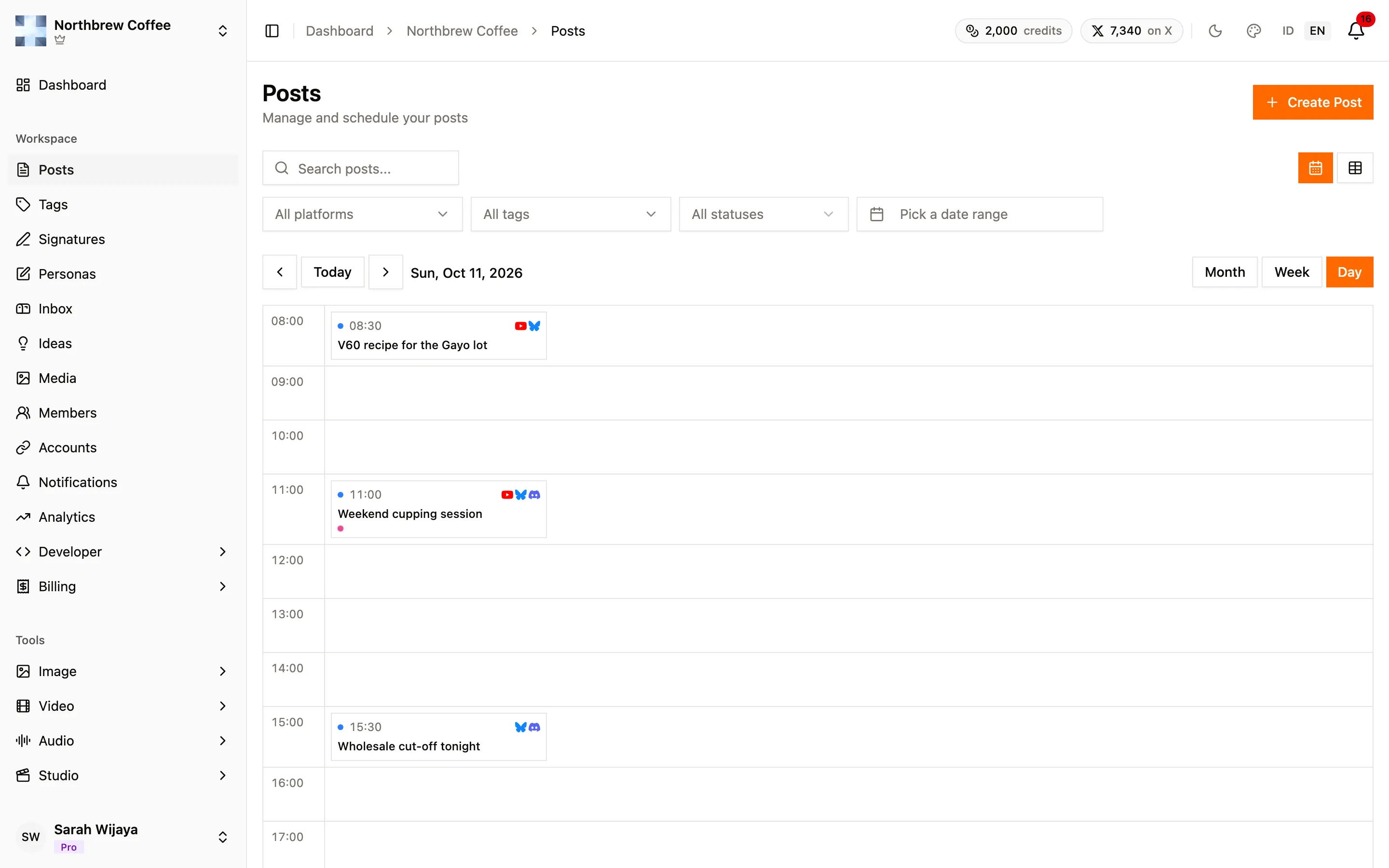The Posts calendar in Day view, one row per hour with the day's scheduled posts in their hours.