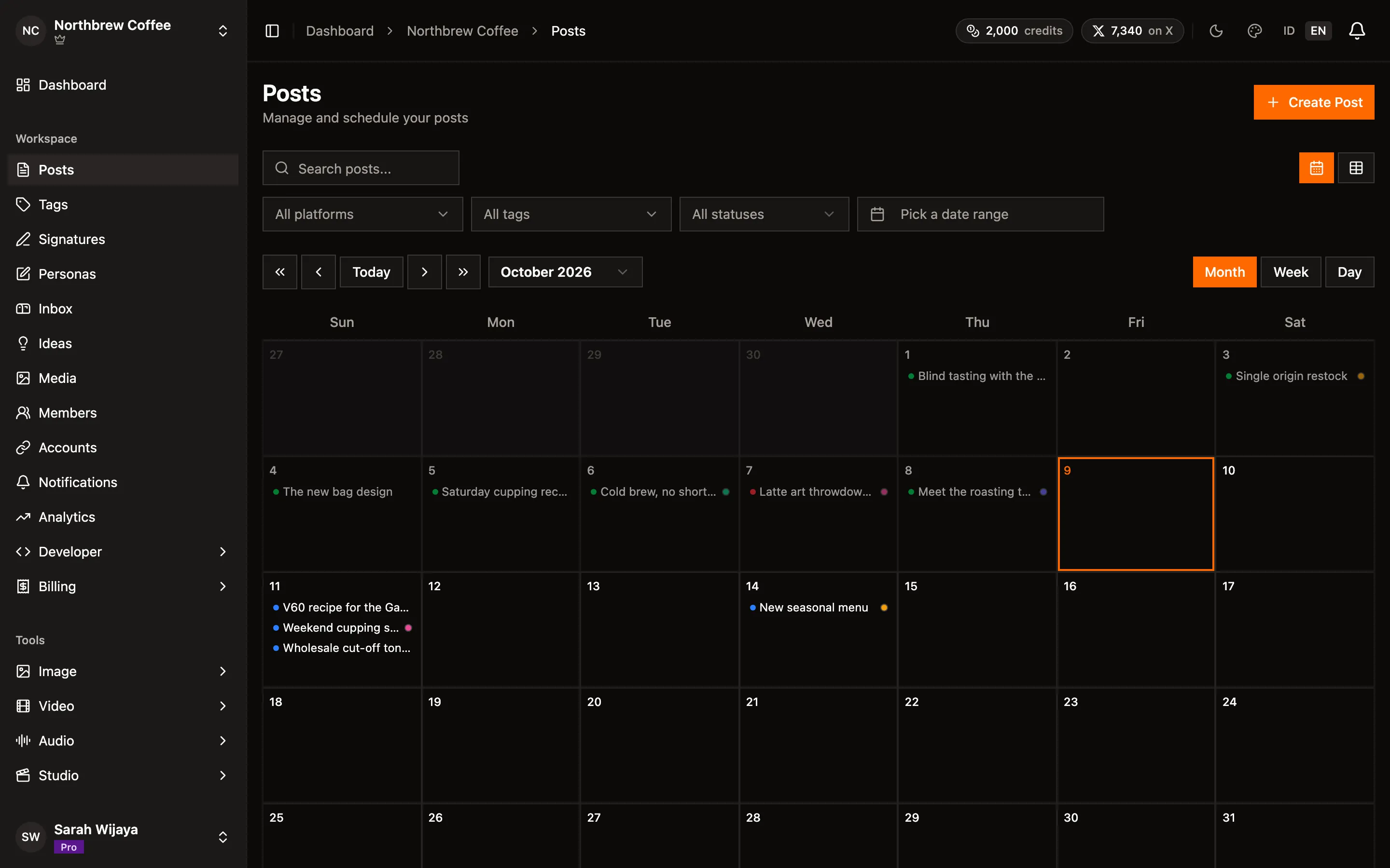The posts list showing published, scheduled, failed, and draft posts.