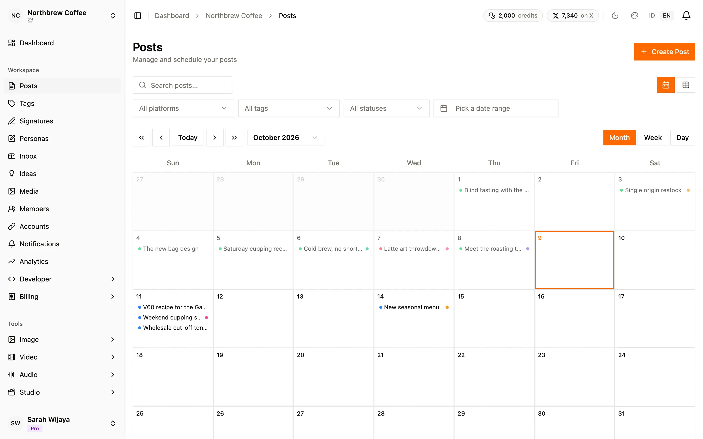 The posts list showing published, scheduled, failed, and draft posts.